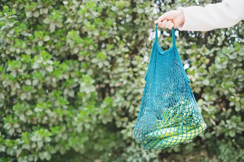 Hand holding a reusable shopping bag with vegetables inside