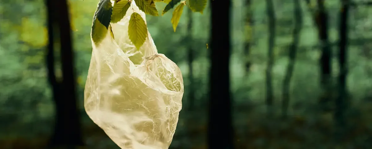 Plastic waste bag hanging from a tree branch