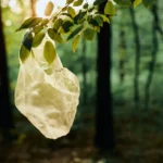 Plastic waste bag hanging from a tree branch