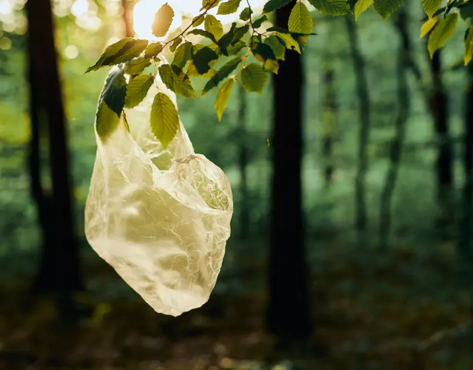 Plastic waste bag hanging from a tree branch