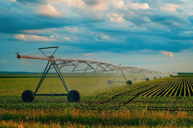 Irrigation system in field