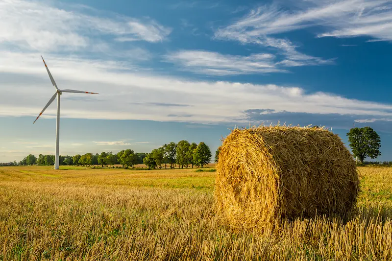 Renewable energy wind turbine in a field