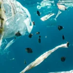 Plastic waste found under water.