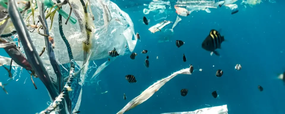 Plastic waste found under water.