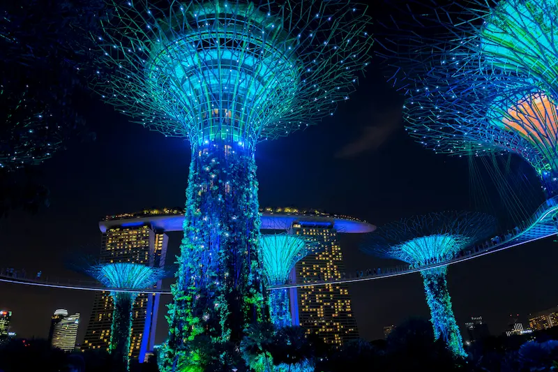 Supertrees at the OCBC Skyway in the Gardens by the Bay, Singapore