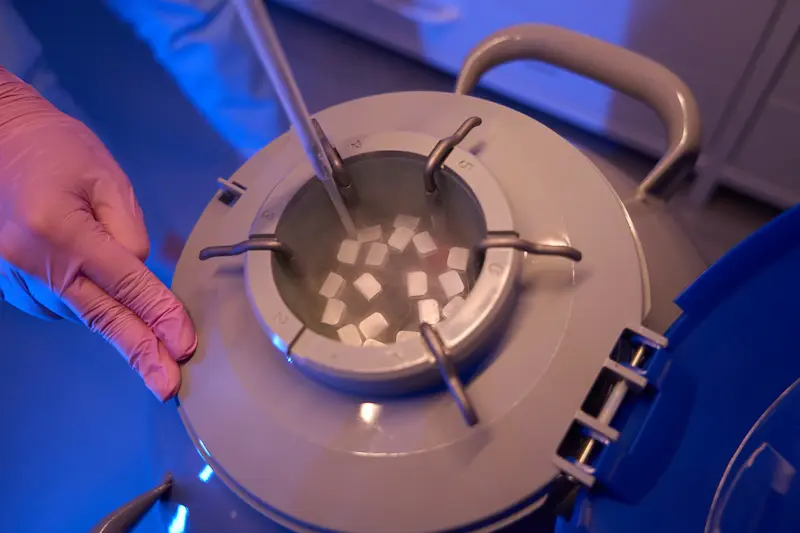 A scientist wearing gloves retrieving frozen samples from a container filled with dry ice.