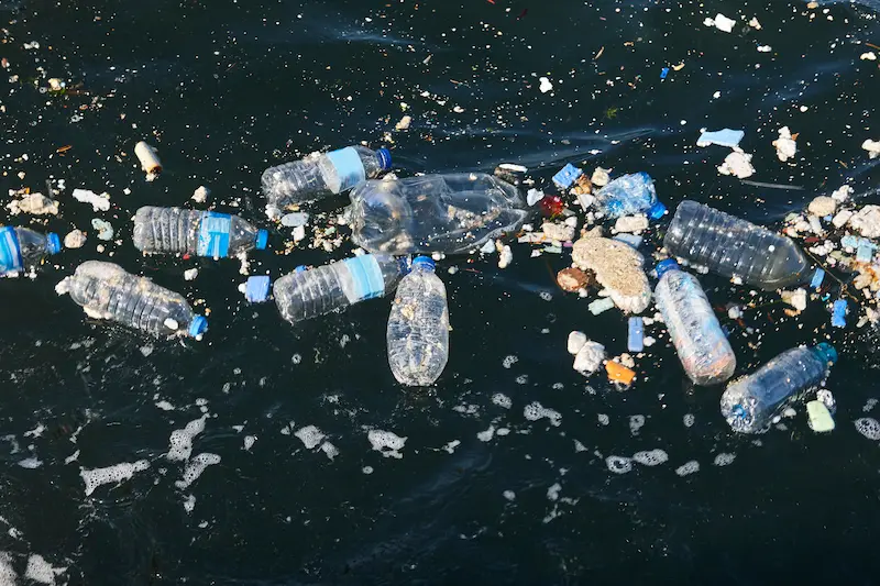 Plastic water bottles floating in the ocean.