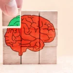 Wooden puzzle of a red brain with a green brain piece added to complete the puzzle.