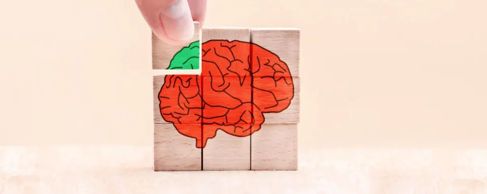 Wooden puzzle of a red brain with a green brain piece added to complete the puzzle.