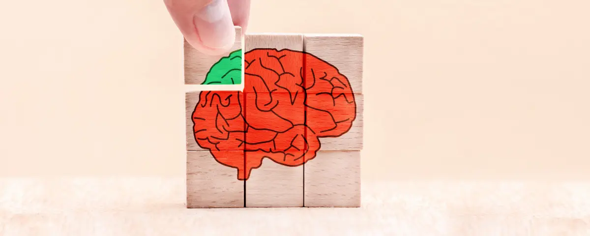 Wooden puzzle of a red brain with a green brain piece added to complete the puzzle.