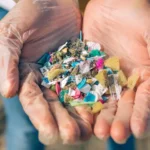 Pair of cupped hands holding microplastics on the beach.