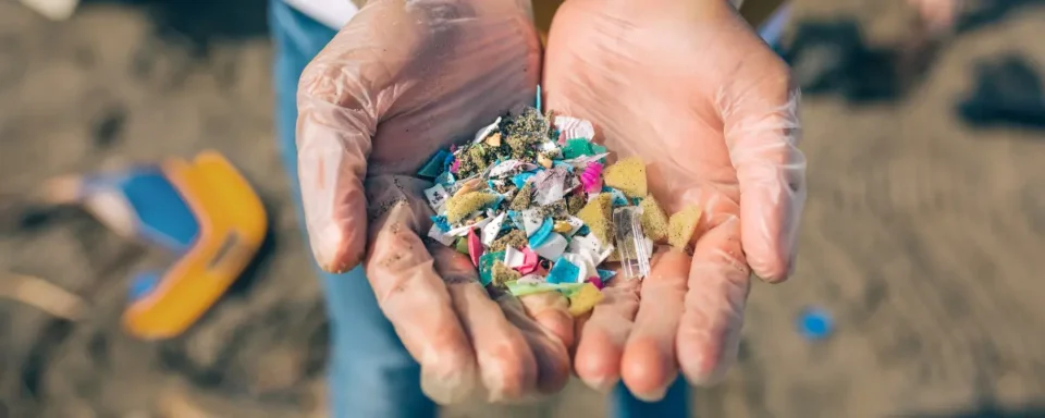 Pair of cupped hands holding microplastics on the beach.